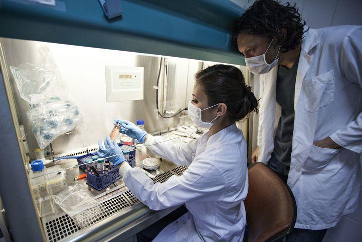 Se cura un tercer paciente con VIH tras un transplante
