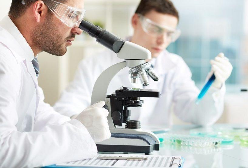 Nuevos antibióticos para hacer frente a bacterias multirresistentes