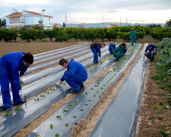Magazine 005 - Recuperación del suelo “fatigado”