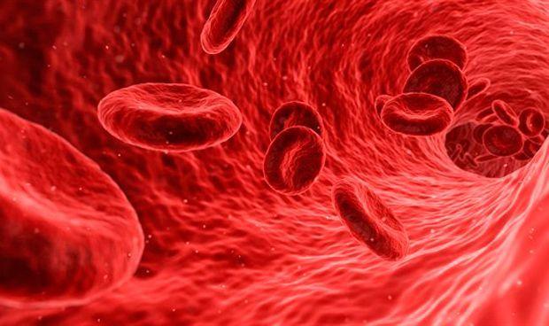 ANMAT aprobó una nueva droga contra la hemofilia que reduce el sangrado