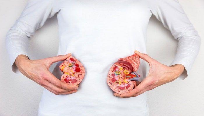 Insuficiencia renal: la importancia de una buena nutrición