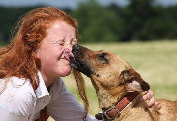 Alarma mundial por un virus que se transmite a través de los perros