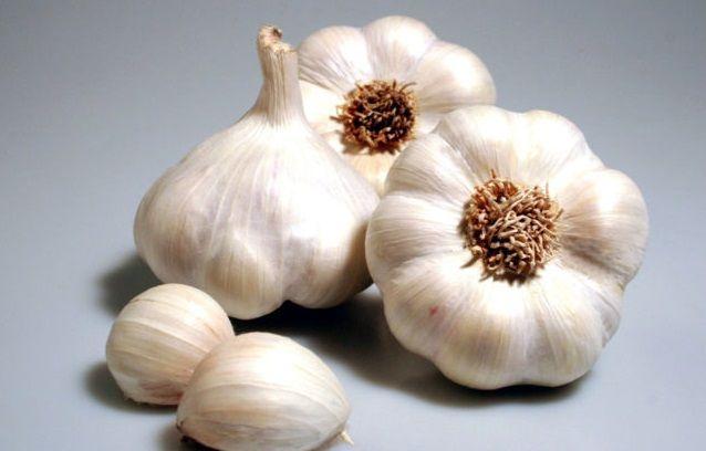 Estudian beneficios del ajo para la memoria