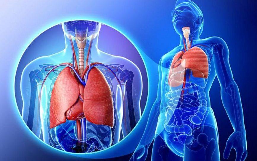 Día Mundial de la Hipertensión Pulmonar en Rosario: Jornada para pacientes y familiares