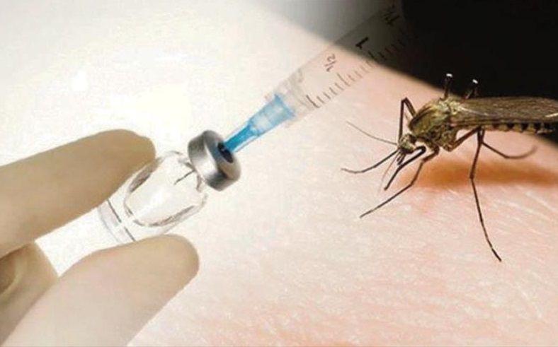 En EEUU aprueban la primera vacuna contra el dengue