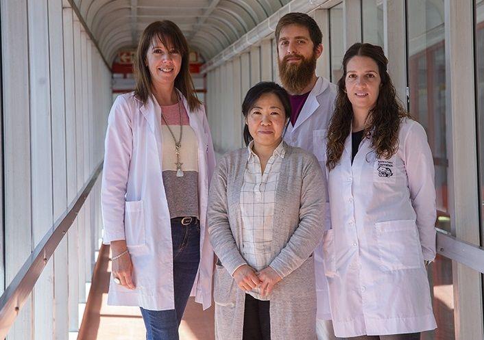 El Garrahan y la Universidad de Kumamoto investigan en conjunto la infección por el retrovirus HTLV-1