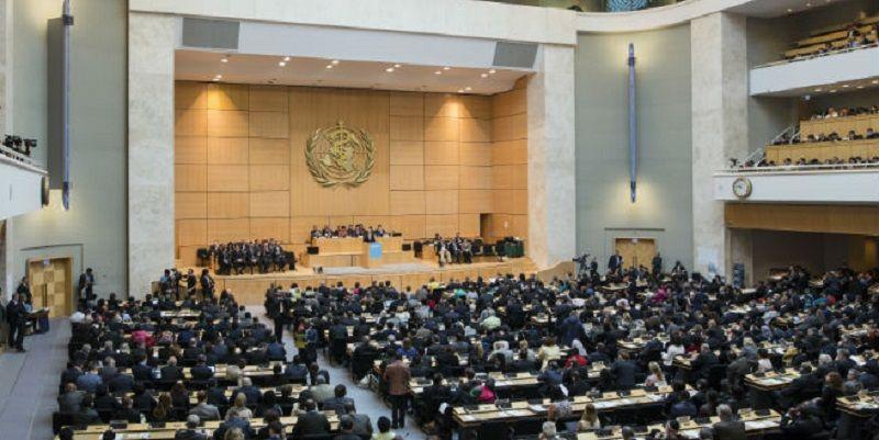 La Organización Mundial de la Salud certificó que Argentina es libre de paludismo