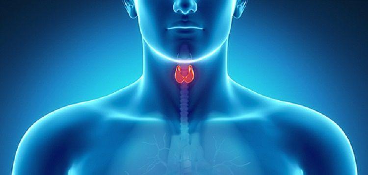 Aumenta la cantidad de hombres que consultan por problemas de tiroides