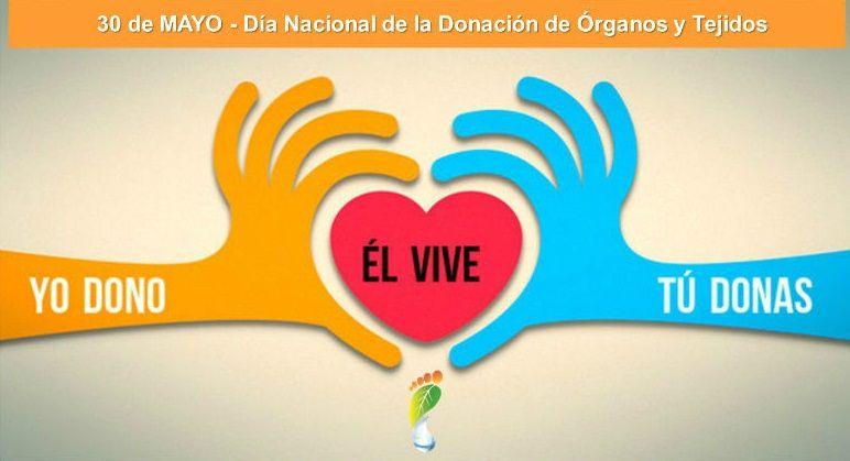 Convocan a participar de las actividades por el Día Nacional de la Donación de Órganos