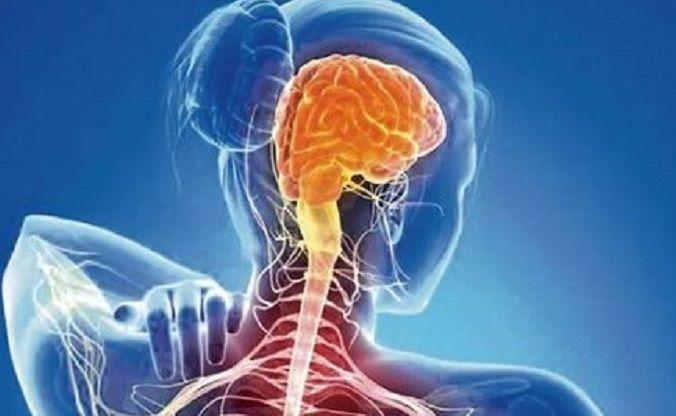 Charla: Fleni presentará novedades en tratamientos contra la Esclerosis Múltiple