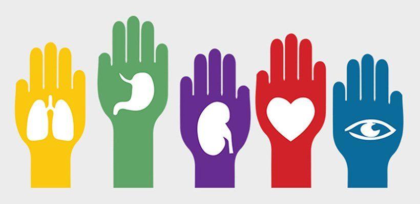 30 de mayo: Día Nacional de la Donación de Órganos