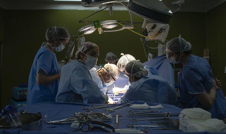 El Hospital Garrahan lleva realizados más de 2.500 trasplantes