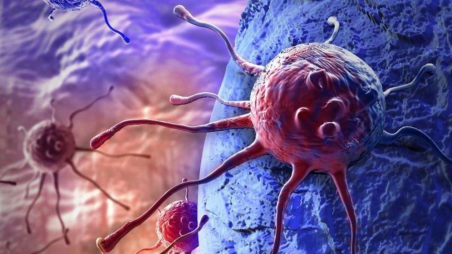 Científicos argentinos identifican cómo se relacionan las mutaciones en 47 tipos de cáncer