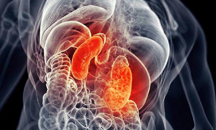 Síntomas para detectar de manera temprana al cáncer de riñón