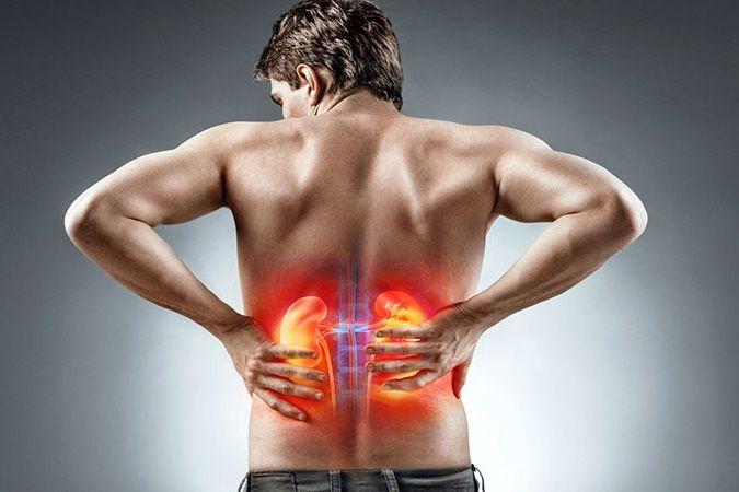 Prevenir y cuidarse para tener riñones sanos