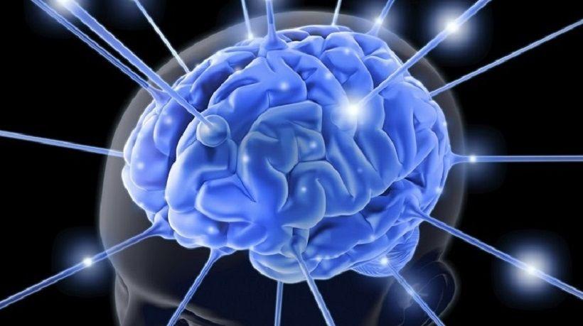 La demencia vascular, una de las pocas formas de demencia que puede ser prevenida con hábitos saludables