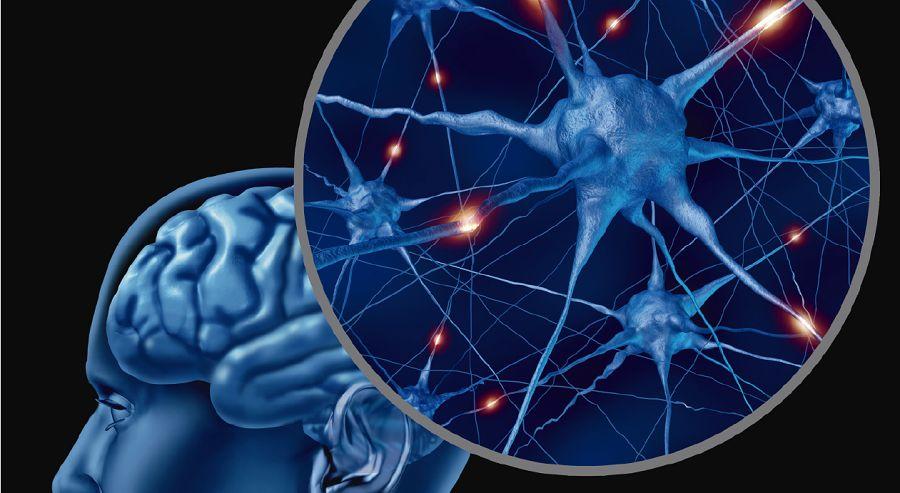 Simposio de Fleni sobre epilepsias refractarias para padres y terapeutas