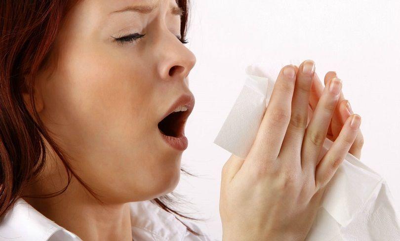 Cuáles son los alérgenos que más afectan la vida cotidiana