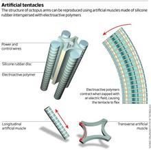 Preparan el primer robot totalmente flexible