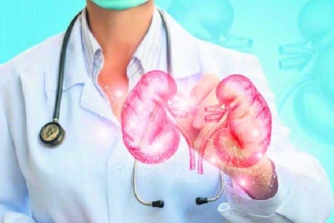 Recibir un riñón de donante de más de 80 años es mejor que seguir en diálisis