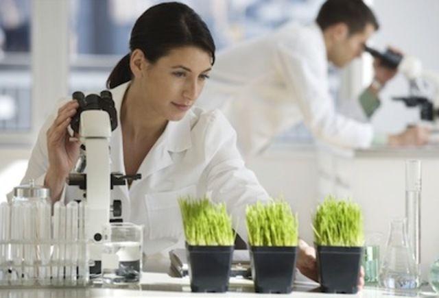 ¨Argentina cuenta con todos los recursos para investigar y producir cannabis¨