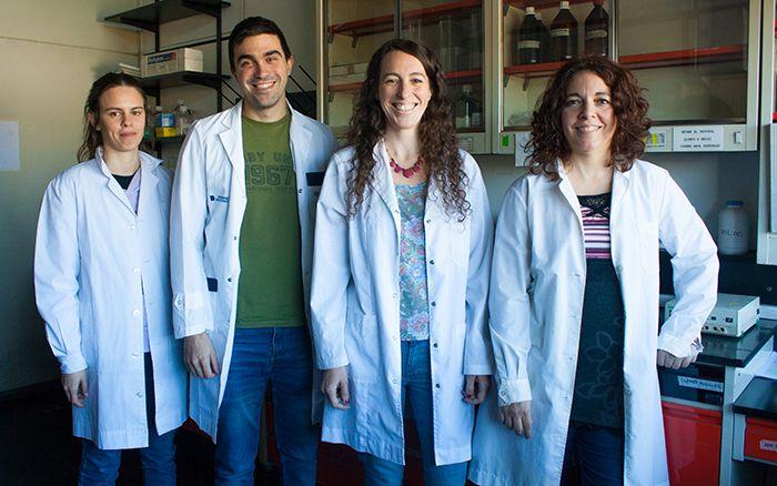Estudio argentino propone un camino para mejorar el tratamiento del cáncer