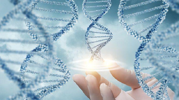 San Isidro: Jornada para conocer sobre la enfermedad Síndrome X frágil