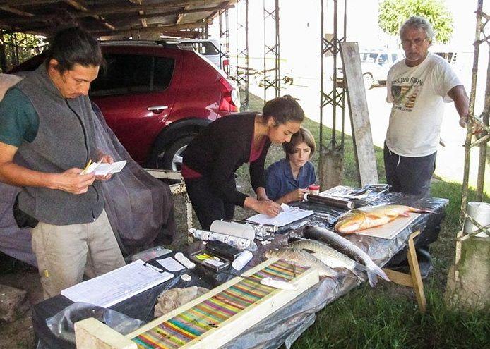 Detectan la presencia de fármacos de uso humano en peces del río Uruguay