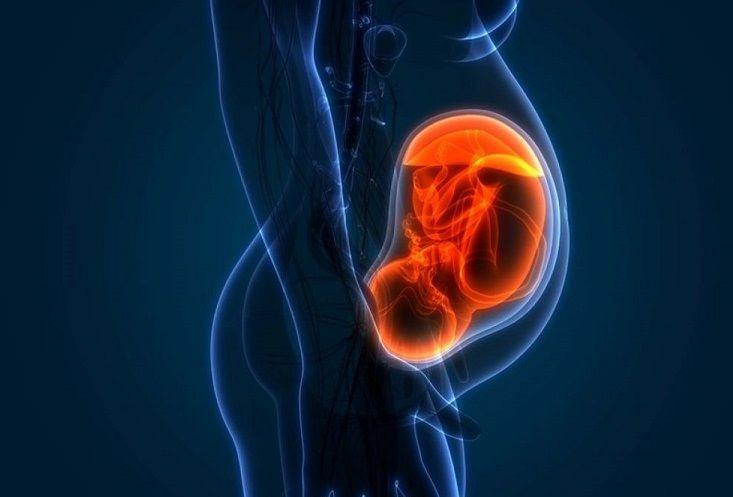 Un estudio sugiere que la polución ambiental podría llegar a la placenta