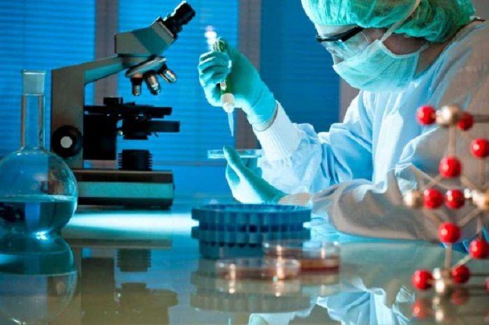 Identifican una proteína que regula mecanismos que determinan la sensibilidad al dolor