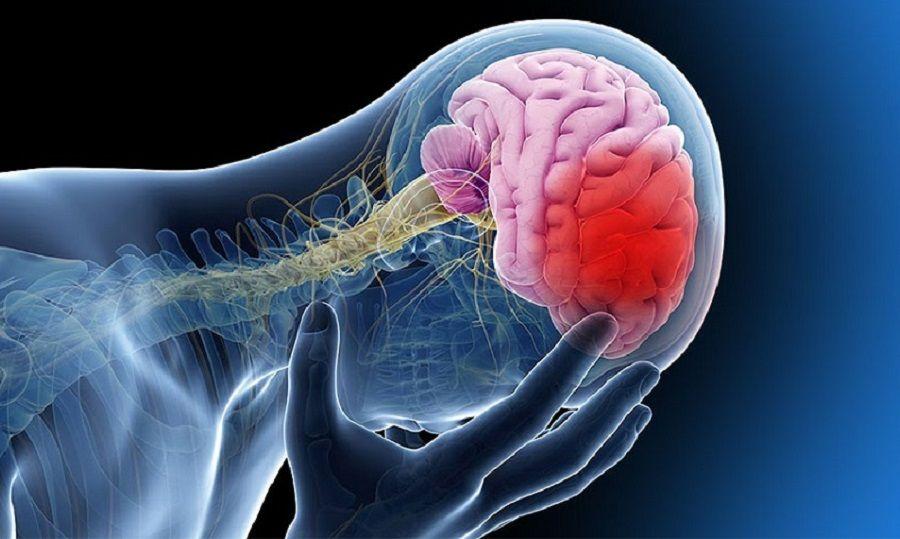 25/10 - Jornada por el Día Mundial del ACV en INECO