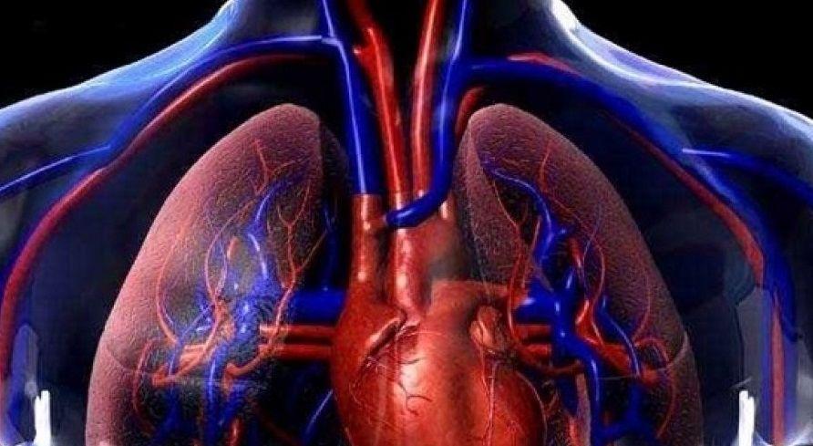 Más de 130 expertos en Hipertensión Arterial Pulmonar debatieron en Buenos Aires