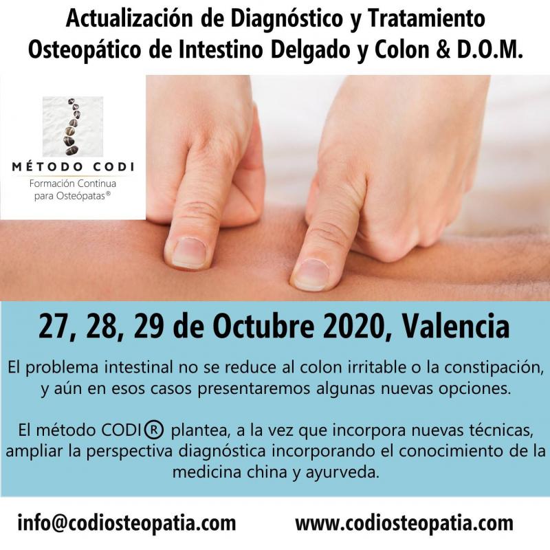 Actualización de Diagnóstico y Tratamiento Osteopático de Intestino Delgado y Colon & D.O.M, VALENCIA: 27, 28 y 29 de Octubre 2020