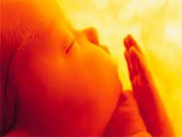 Lic. Araceli Ramilo Álvarez: Mortalidad materna y aborto: hechos y datos reales.