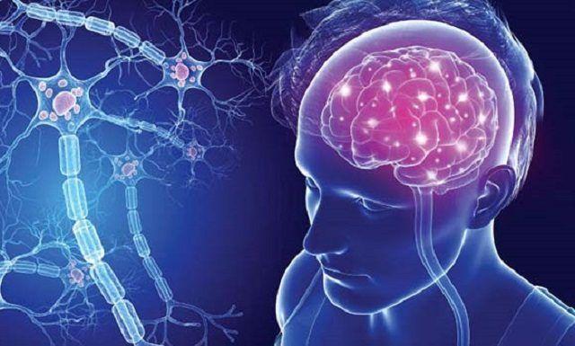 El ejercicio físico y otros estímulos podrían reducir el daño cerebral en la esclerosis múltiple