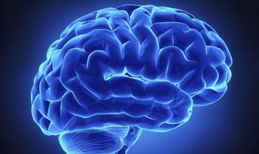 Cómo afecta al cerebro el aire contaminado que produce el tránsito