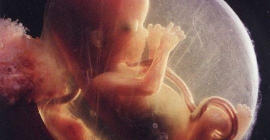 Bélgica - La verdad sobre la propuesta de ley relativa al aborto