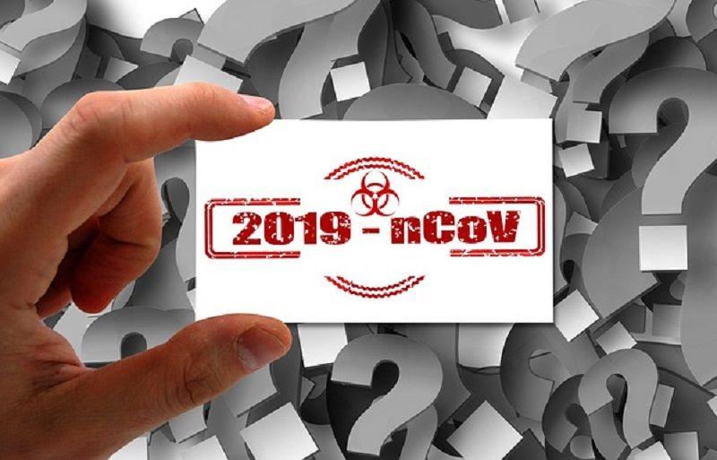 ¨El nuevo coronavirus no parece ser un patógeno extremadamente letal¨