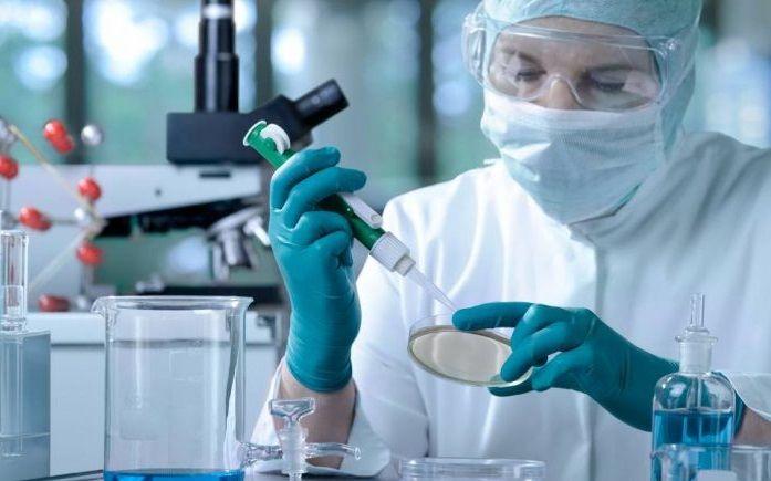 Por qué estamos contrayendo cada vez más enfermedades transmitidas por animales