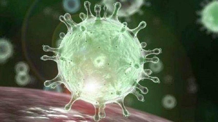Covid-19 es el nombre que la OMS le dió a la enfermedad provocada por el nuevo coronavirus