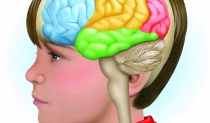 La ciencia explica cómo afecta el veganismo al desarrollo cognitivo