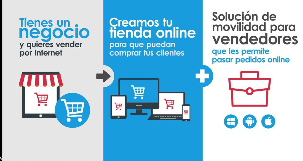 Tienda Online: Desarrollo de Carrito de Compra para vender por internet todos sus productos y/o servicios.