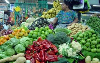 Los alimentos y las estaciones...