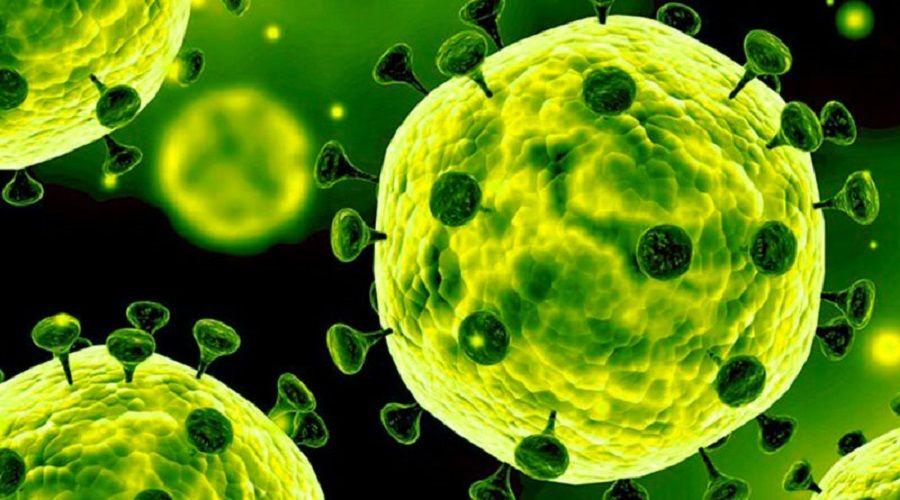 La cepa del coronavirus que llegó a Europa no sería la misma que se produjo en China