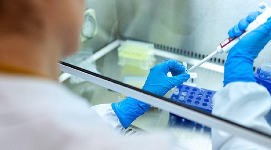 Avances para producir los primeros test de coronavirus SARS-CoV-2 en Argentina