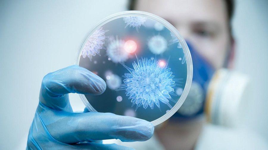 El ANLIS-Malbrán logró secuenciar el genoma completo del coronavirus SARS-COV-2