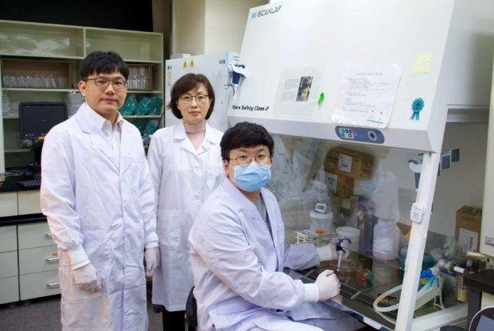 A contramano de los mass media alarmistas: Corea del Sur mapea nuevo genoma RNA del coronavirus