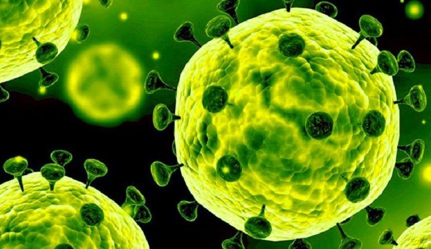 La OMS afirmó que el Covid-19 es 10 veces más letal que la gripe H1N1