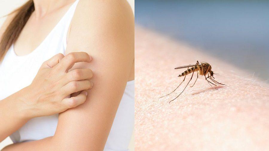 Dengue: instan a no descuidarla como problemática de salud
