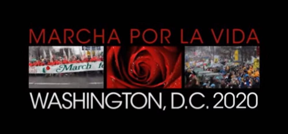 Marcha por la Vida 2020 en Estados Unidos
